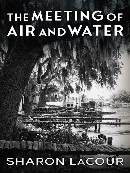 Title details for The Meeting of Air and Water by Sharon LaCour - Available